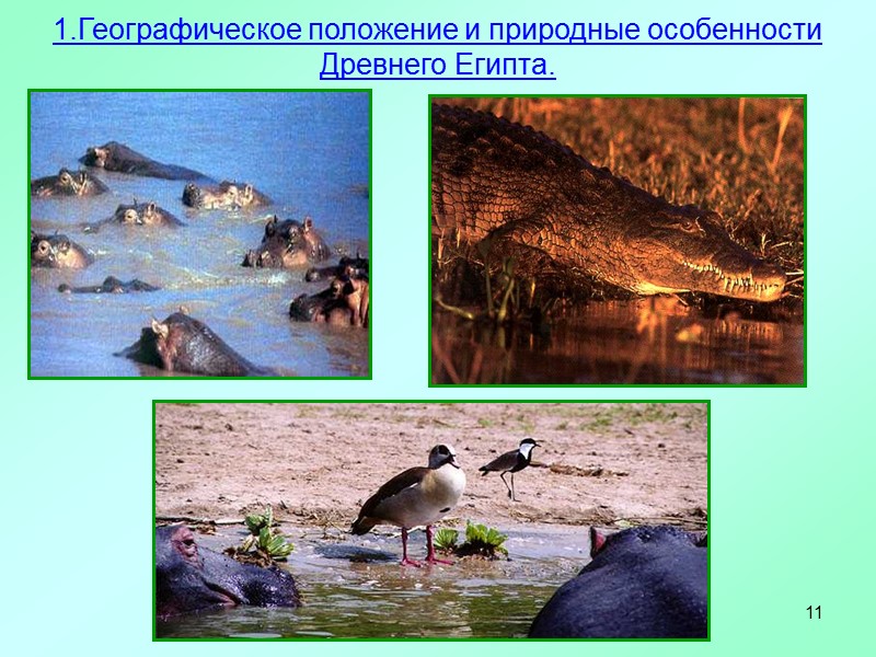 11 1.Географическое положение и природные особенности Древнего Египта.